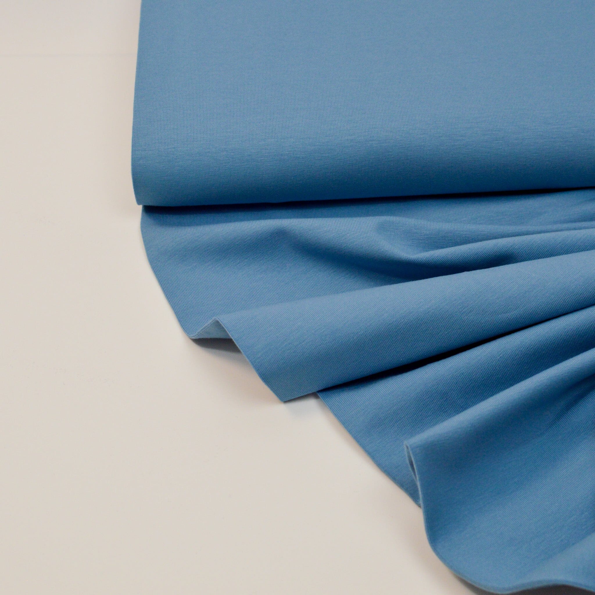 Baumwolljersey - bleu Fabric poshpinks